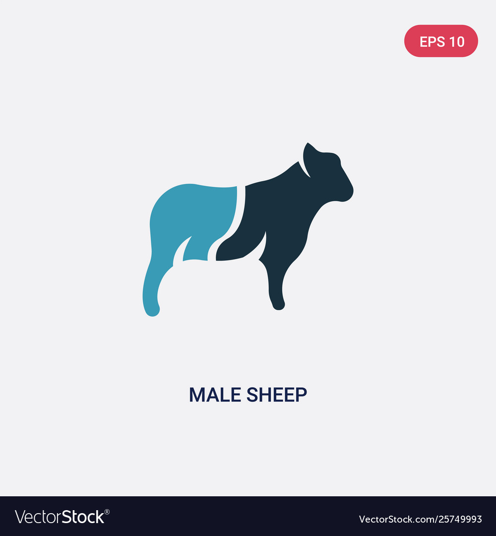 Two color male sheep icon from animals concept