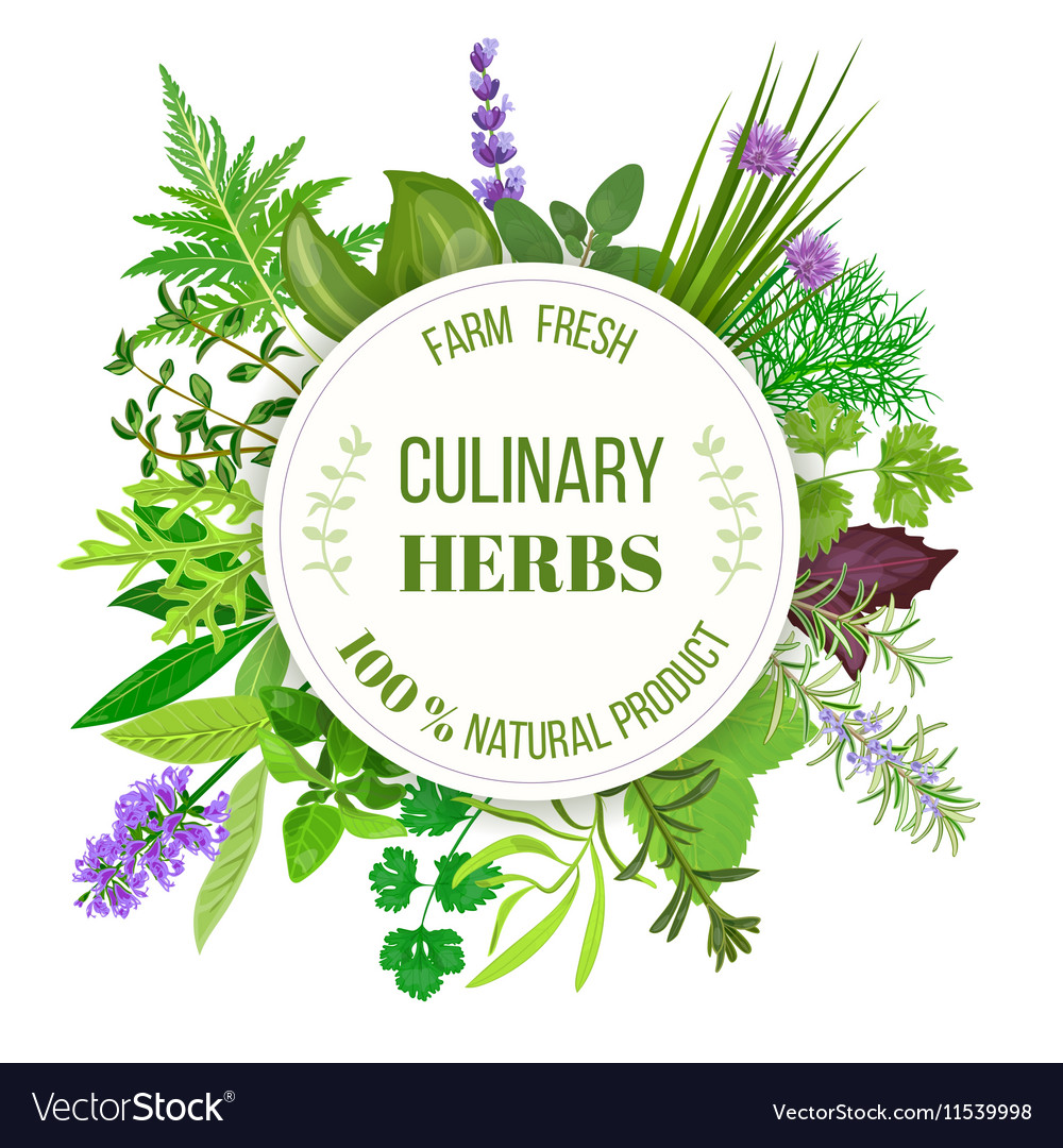 Culinary herbs round emblem Royalty Free Vector Image