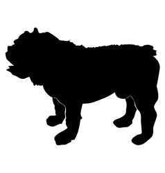 Silhouette of an english bulldog Royalty Free Vector Image