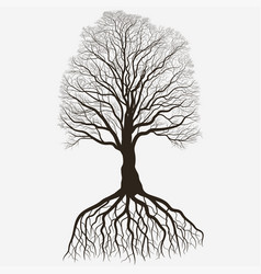 Huge tree Royalty Free Vector Image - VectorStock