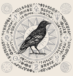 Banner with hand-drawn raven and magical symbols Vector Image