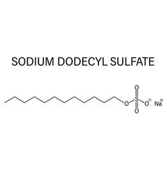 Sodium Dodecyl Sulfate Molecule Skeletal Formula Vector Image