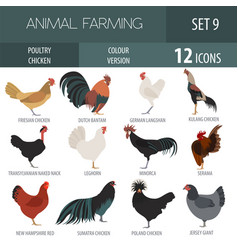 Poultry farming chicken breeds icon set flat Vector Image