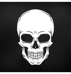 Human evil skull jolly roger logo template Vector Image