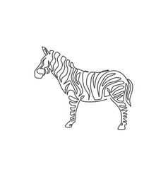 Single continuous line drawing elegant zebra Vector Image