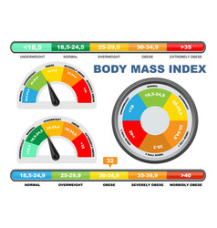 Bmi categories chart body mass index and scale Vector Image