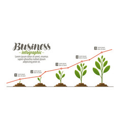 Growth stages diagram sprout seedling shoot Vector Image