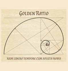 Fibonacci golden ratio Royalty Free Vector Image