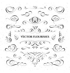 Black and white flourishes Royalty Free Vector Image