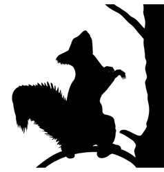 Squirrel & Silhouette Vector Images (over 570)