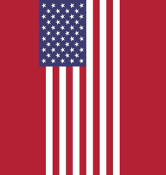 American Betsy Ross Flag Vertical Banner Vector Image