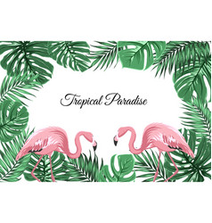 Exotic flamingo tropical horizonal border frame Vector Image