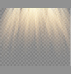Gold spotlight isolated Royalty Free Vector Image