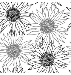 Hand Drawn Clover Flower Pattern Royalty Free Vector Image