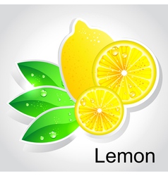 Lime Royalty Free Vector Image - VectorStock