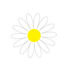 Daisy chamomile line silhouette icon camomile Vector Image