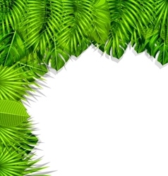 Exotic tropical background with palm leaves Vector Image