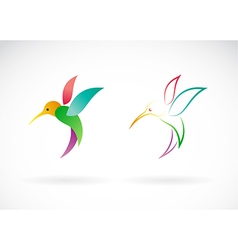 Hummingbird Tattoo Small Vector Images 71