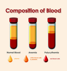 Diagram showing composition blood cell Royalty Free Vector