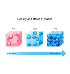 Fundamental states of matter Royalty Free Vector Image