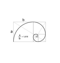 Fibonacci sequence circles golden ratio Royalty Free Vector