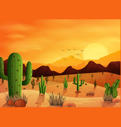 Background with cactus Royalty Free Vector Image