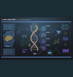 Hud infographic elements with dna structure Vector Image