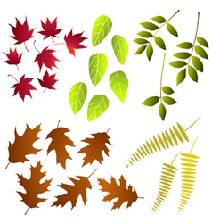 Leaf Collection Royalty Free Vector Image Vectorstock Leaf Collection Royalty Free Vector Image Vectorstock