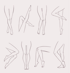 Outline attractive female legs set Royalty Free Vector Image