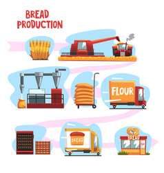 Bread production process stages from wheat harvest