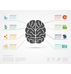 Brain infographic template for human head Vector Image