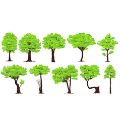 set of trees vector image