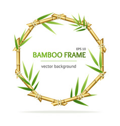 Realistic 3d detailed bamboo shoots background Vector Image