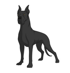 Great dane different variaties coat color dog Vector Image