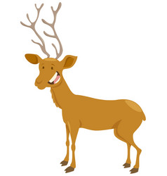 Wild deer cartoon Royalty Free Vector Image - VectorStock