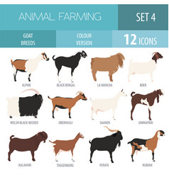 Goat breeds icon set animal farming flat design Vector Image