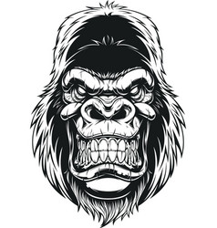 Fierce gorilla head Royalty Free Vector Image - VectorStock