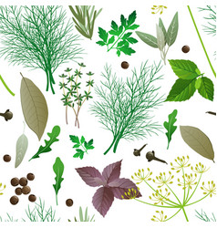 Herbs plants and spices Royalty Free Vector Image