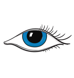 Blue eyes Royalty Free Vector Image - VectorStock