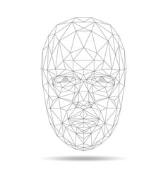 Face recognition scanning grid Royalty Free Vector Image