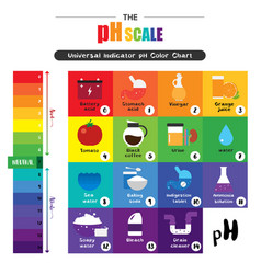 Ph scale universal indicator ph color chart Vector Image