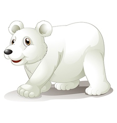 Four white polar bears Royalty Free Vector Image