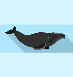 Fin whale icon flat style Royalty Free Vector Image