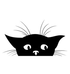 Cat spy animal cartoon Royalty Free Vector Image