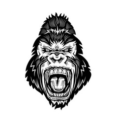 Ferocious gorilla head Royalty Free Vector Image