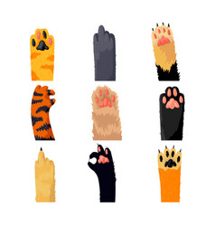 Cats background kitten cartoon paws set Royalty Free Vector