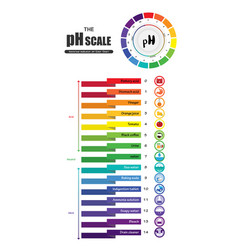 Ph scale universal indicator ph color chart Vector Image