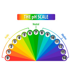 Ph meter for measuring acid alkaline balance Vector Image