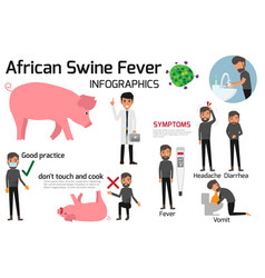 African swine fever virus asf infographics Vector Image