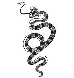 Snake tattoo Royalty Free Vector Image - VectorStock